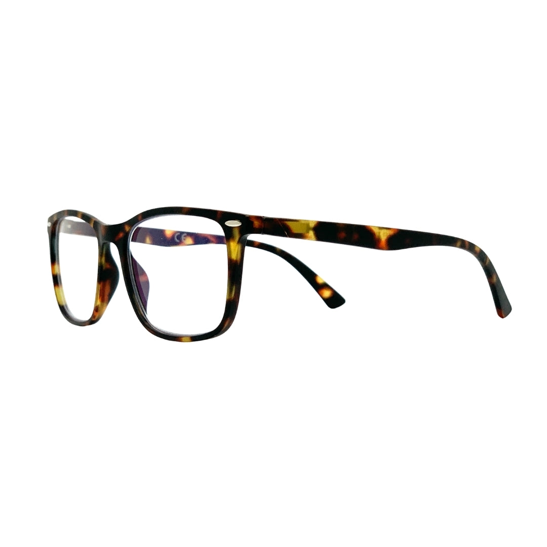 Gafas FEY-SIERRA